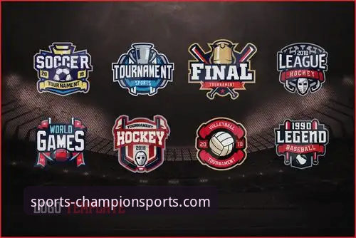 奇异果体育网页版详解：专业体育服务平台的核心分析