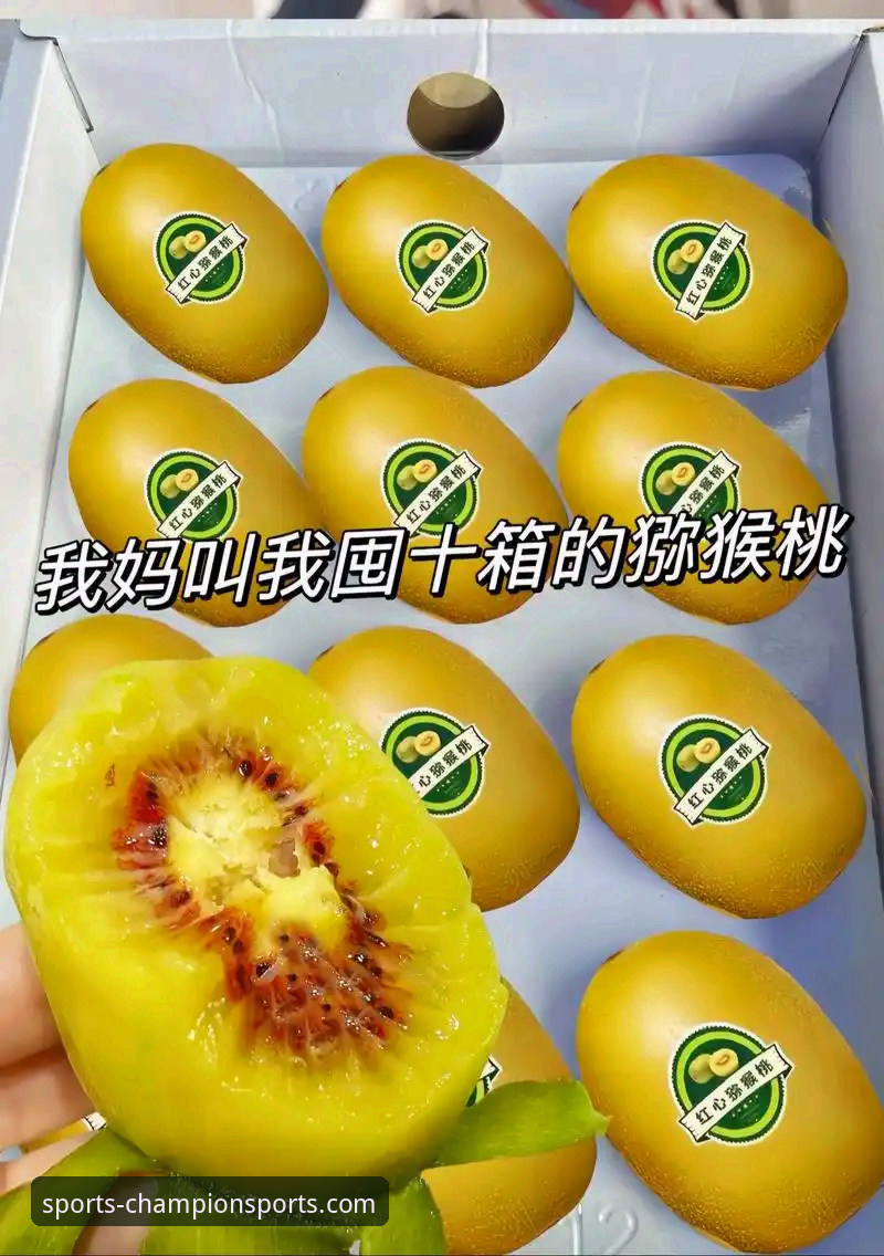 奇异果体育平台注册与使用全流程深度评测：新手必看指南