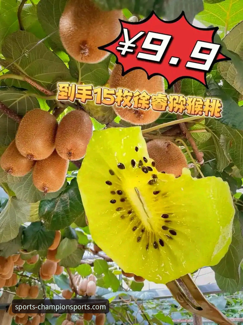 奇异果体育平台安装失败解决指南：从下载到观看赛事直播一步到位