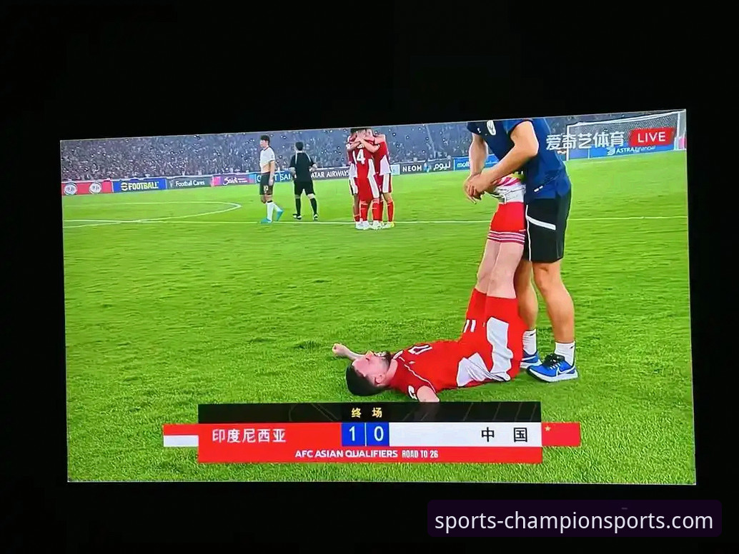 实时体育比分官方下载 世界杯球星盘点与奇异果体育赛事直播体验详解