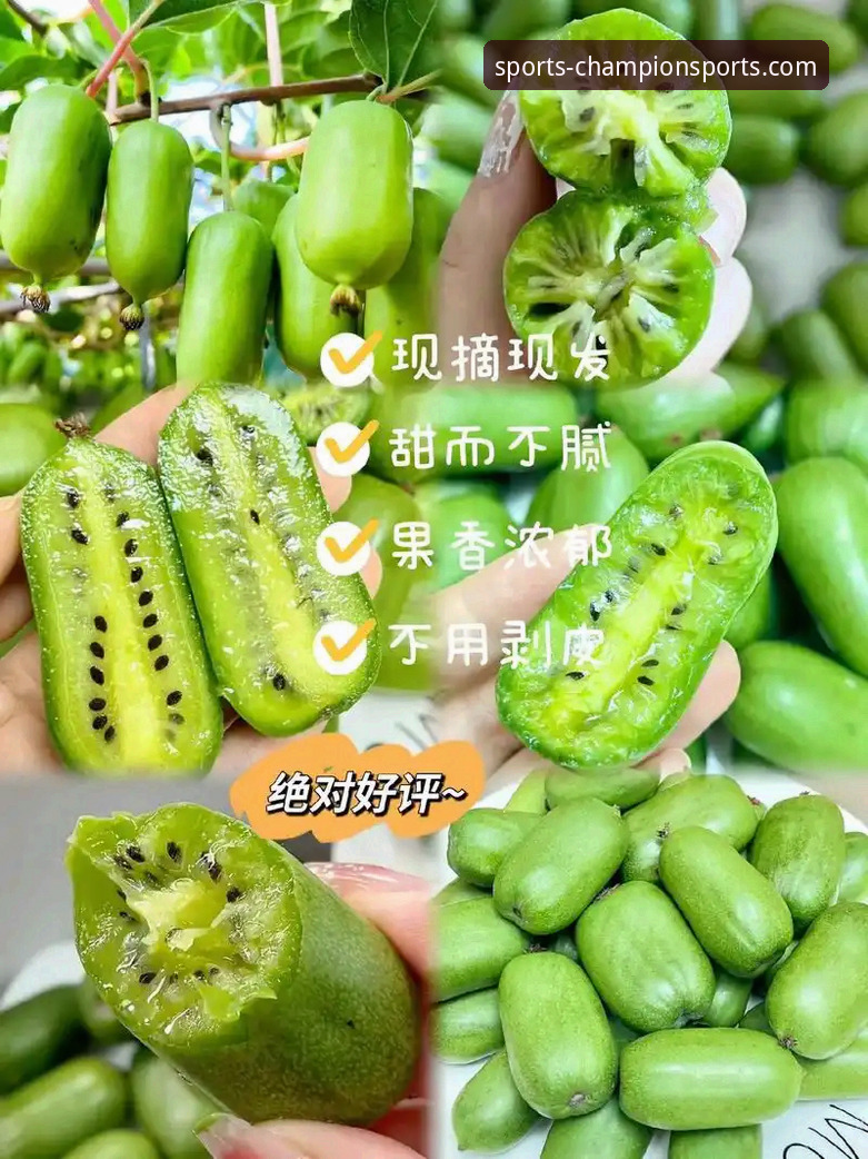 奇异果体育直播入口完全指南：从新手到流畅观赛